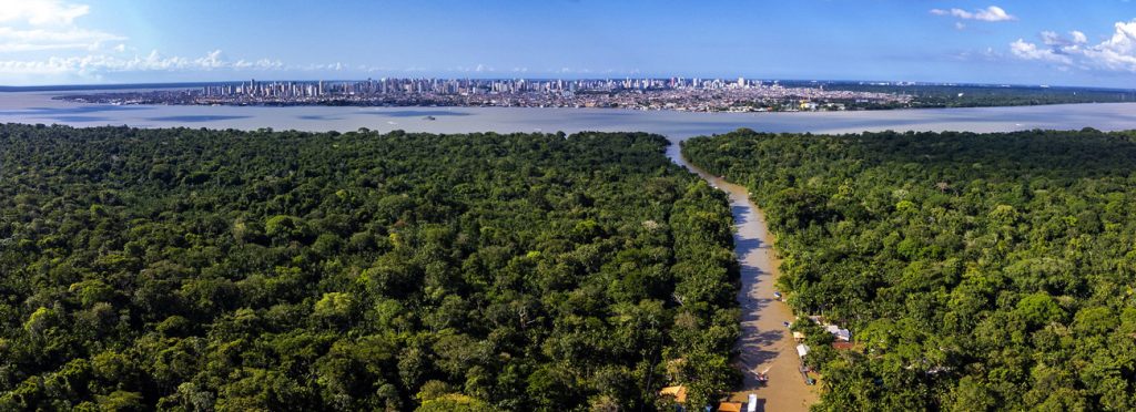 CAMPINAS integra Delegação Brasileira para negociações e apresenta programas na COP 30